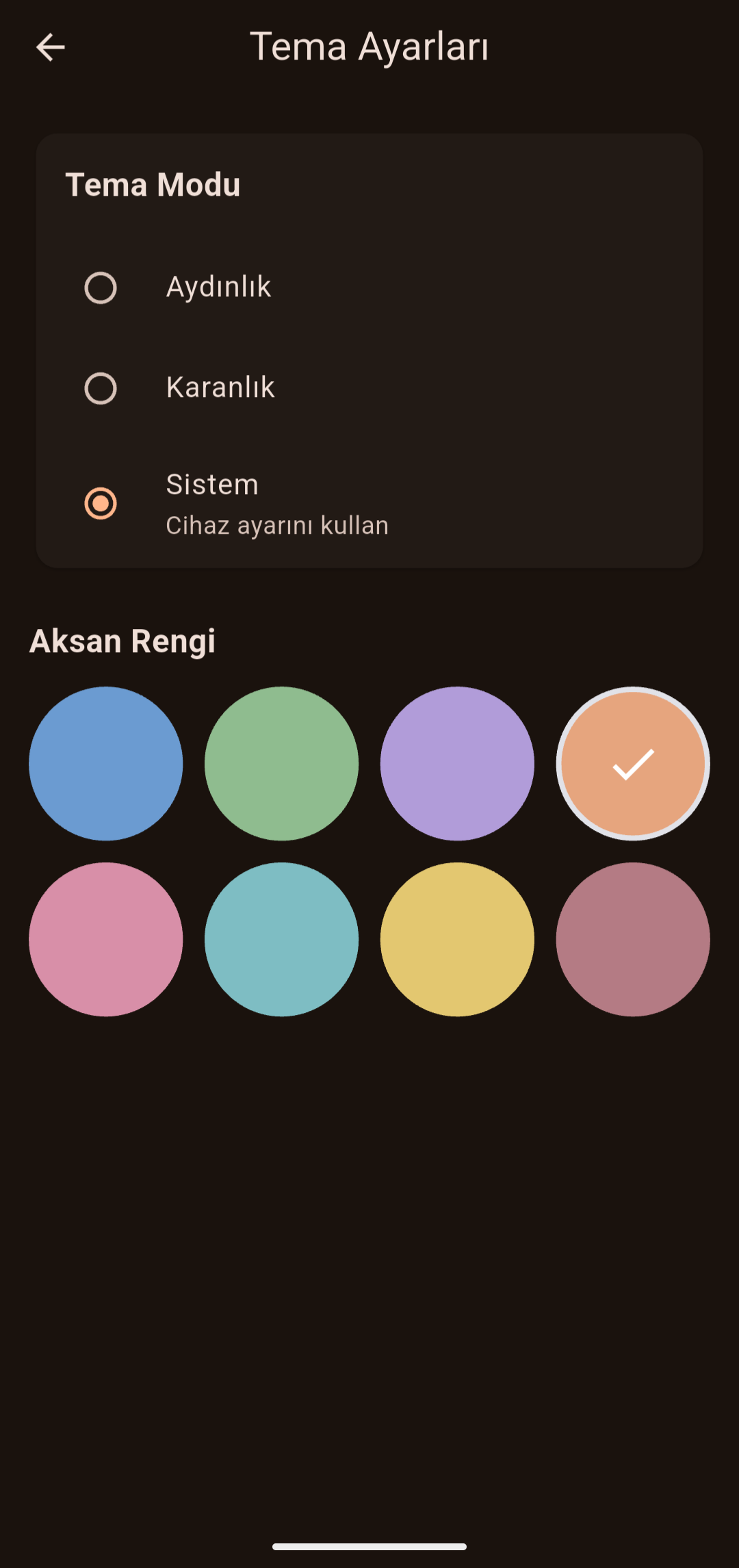 Tema Ayarları Ekranı